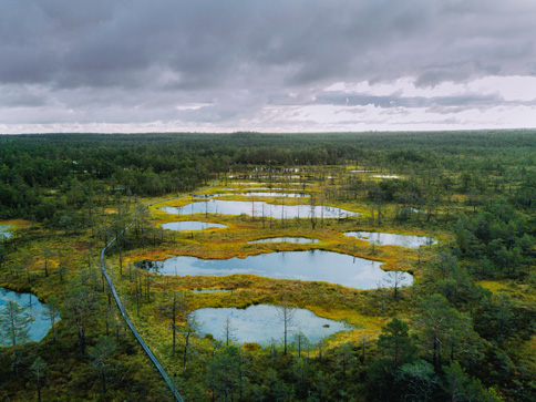 Galerie Landausflug Talinn - Lahemaa Nationalpark 